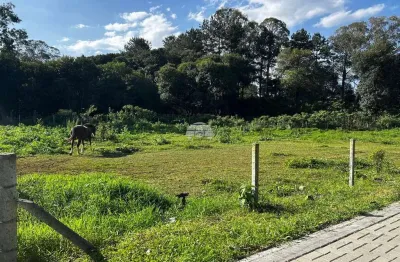 Terreno à venda na rua josé carlos colodel, 775, centro, almirante tamandaré, 525 m2 por r$ 472.500