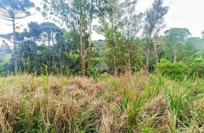 Terreno comercial à venda na rodovia do contorno norte, 10500, jardim alvorada, almirante tamandaré, 5181 m2 por r$ 830.000