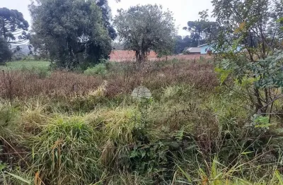 Terreno comercial à venda na estrada anta magra, campina de quitandinha, quitandinha, 1000 m2 por r$ 280.000
