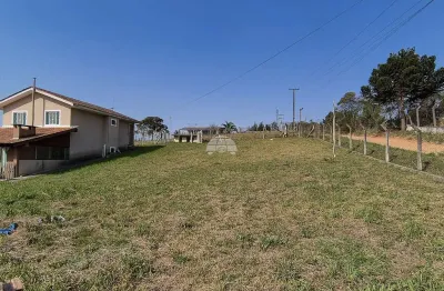 Chácara / sítio com 3 quartos à venda na rua vila nova, s/n, cachoeira, são josé dos pinhais, 200 m2 por r$ 449.999