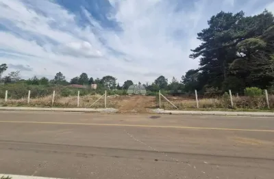 Terreno à venda na rua miguel macuim, 753, jardim das acácias, quatro barras por r$ 749.000