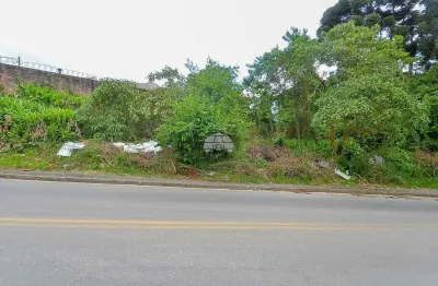 Terreno à venda na rua luíz gulin, 329, roça grande, colombo, 6050 m2 por r$ 1.887.600