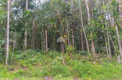 Terreno à venda na rua estrada do faisquerinha, 15, faisqueira, antonina, 23781 m2 por r$ 99.900