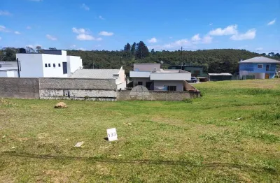 Terreno em condomínio fechado à venda na rua do quivi, 341, planta santa tereza, colombo, 300 m2 por r$ 199.900