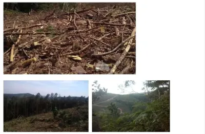 Terreno à venda na rua deomarina milene santos, 0000, santa helena, bocaiúva do sul, 230000 m2 por r$ 600.000