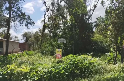Terreno à venda na rua joinville, 300, palmital, garuva por r$ 87.000