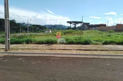 Terreno à venda na rua edinei sebastiao domingues, 220, industrial, guarapuava por r$ 145.000