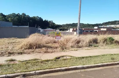 Terreno à venda na rua wadyh c. tahech, 391, são cristóvão, guarapuava por r$ 175.000