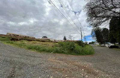Terreno à venda na rua nestor alves de campos, 841, uvaranas, ponta grossa, 495 m2 por r$ 85.000