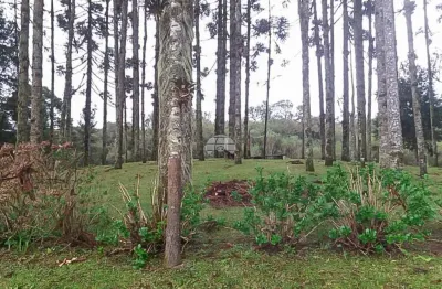 Chácara / sítio à venda na estrada da roseira, 200202, são sebastião, são josé dos pinhais, 1365 m2 por r$ 180.000