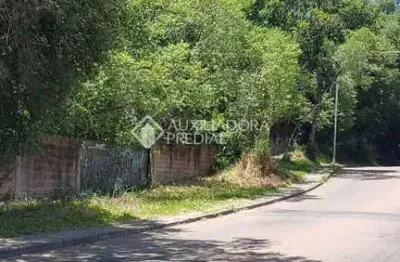 Terreno comercial à venda na rua dolores duran, 2580, lomba do pinheiro, porto alegre, 1800 m2 por r$ 299.000