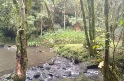 Terreno comercial à venda na Caracol, 3000, Zona Rural, Canela, 90705 m2 por R$ 11.000.000