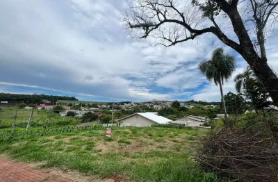 Terreno à venda na rua tocantins, 00, são luiz, pato branco, 467 m2 por r$ 480.000