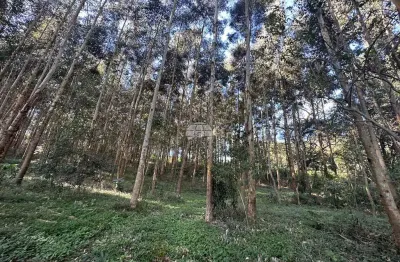 Terreno à venda na estrada zona rural, 00, zona rural, coronel vivida por r$ 1.398.000