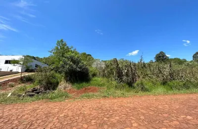 Terreno à venda na rua vicente de col, 00, pagnoncelli, pato branco por r$ 260.000