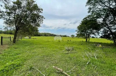 Chácara / sítio à venda na rua passo da ilha, 00, zona rural, pato branco por r$ 1.127.000