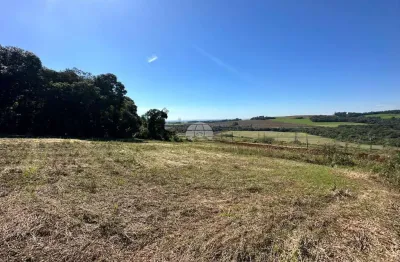 Terreno à venda na rua nilva de mello, 00, são luiz, pato branco, 462 m2 por r$ 231.000