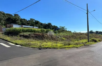 Terreno à venda na rua selvino palaro, 00, são luiz, pato branco por r$ 236.000