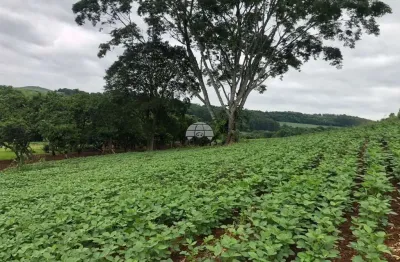 Terreno à venda na distrito zona rural, 00, zona rural, pato branco, 260170 m2 por r$ 2.800.000