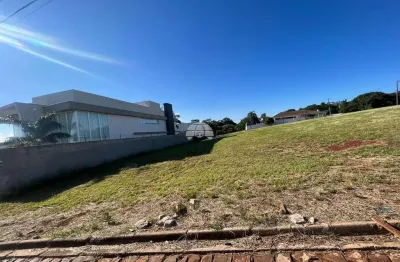 Terreno à venda na rua pio miotto, 00, vila isabel, pato branco, 525 m2 por r$ 525.000