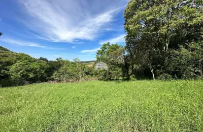 Chácara / sítio à venda na rua passo da ilha, 00, zona rural, pato branco, 20000 m2 por r$ 529.000