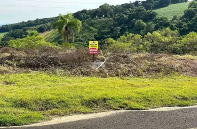 Terreno à venda na rua reginaldo antonio medeiros, 00, vila isabel, pato branco, 411 m2 por r$ 270.000