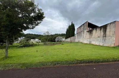 Terreno à venda na rua josé picolo, 00, la salle, pato branco, 642 m2 por r$ 405.000