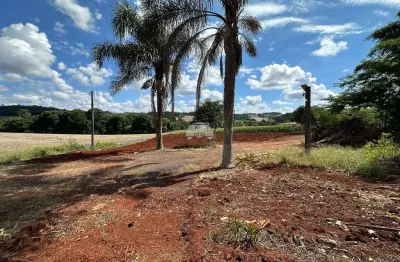 Terreno à venda na comunidade nucleo pato branco, 00, zona rural, pato branco, 2423 m2 por r$ 680.000