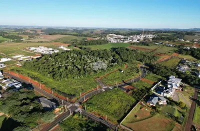 Terreno à venda na rua augustinho polazzo, 00, parzianello, pato branco, 455 m2 por r$ 477.771