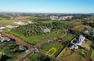 Terreno à venda na rua augustinho polazzo, 00, parzianello, pato branco, 455 m2 por r$ 477.771