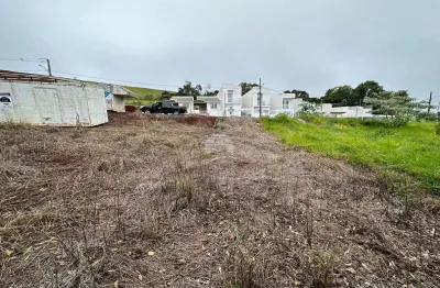 Terreno à venda na rua ernesto ruchil, 00, fraron, pato branco, 390 m2 por r$ 149.000