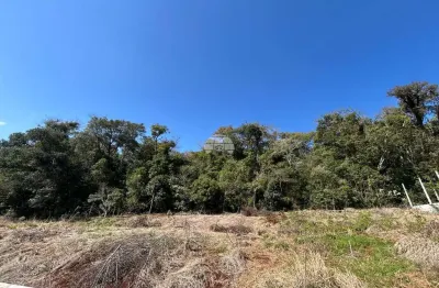 Terreno à venda na rua regina cagnini peloso, 00, são francisco, pato branco, 391 m2 por r$ 294.000