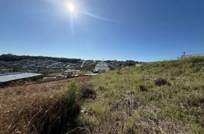 Terreno à venda na rua aimoré, 00, vila isabel, pato branco, 1003 m2 por r$ 850.000