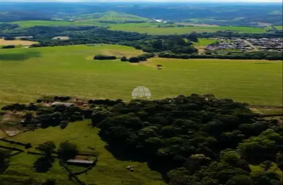 Fazenda à venda na distrito nova espero, 00, são roque, pato branco, 1645600 m2 por r$ 13.500.000