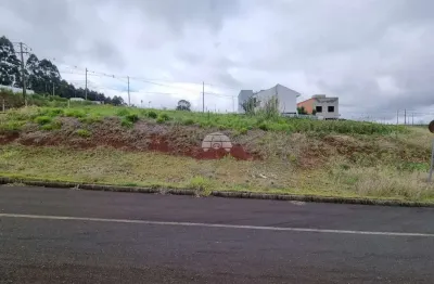 Terreno à venda na rua celso bussolaro, 148, industrial, pato branco, 361 m2 por r$ 180.530