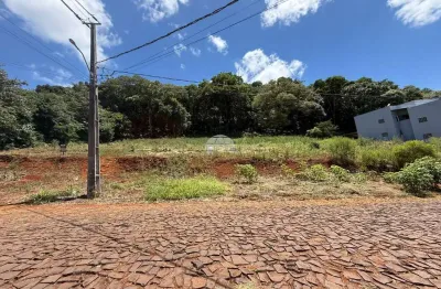 Terreno à venda na Rua Manoel da Nóbrega, 490 LADO, Aeroporto, Pato Branco, 471 m2 por R$ 239.000