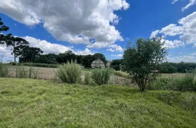 Terreno à venda na Rua João Bernardi Filho, 57, Cadorin, Pato Branco, 423 m2 por R$ 320.000