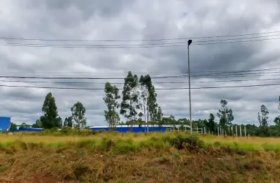 Terreno comercial à venda na rua horto florestal do cara-cara, 00, cará-cará, ponta grossa, 12000 m2 por r$ 4.200.000