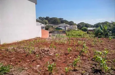 Terreno à venda na rua tapir, 00, cadorin, pato branco, 865 m2 por r$ 610.000