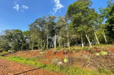 Terreno comercial à venda na rua vicente de col, 00, pagnoncelli, pato branco, 4560 m2 por r$ 1.498.000