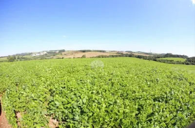 Terreno à venda na comunidade sao braz, 00, são braz, pato branco, 150040 m2 por r$ 4.500.000