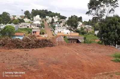 Terreno à venda na rua pedro caldato, 00, cadorin, pato branco, 1282 m2 por r$ 1.050.000