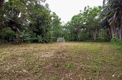 Terreno à venda na rodovia deputado miguel bufara, 53, centro, morretes por r$ 250.000