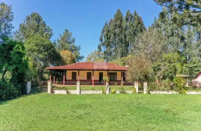 Terreno à venda na rodovia joão leopoldo jacomel, jardim primavera, piraquara por r$ 2.750.000