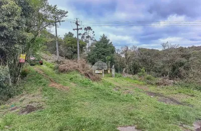 Chácara / sítio à venda na rodovia br-277, 277, borda do campo, são josé dos pinhais por r$ 2.350.000