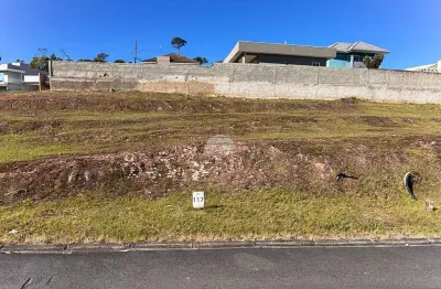 Terreno em condomínio fechado à venda na rua do quivi, 341, arruda, colombo, 303 m2 por r$ 210.000