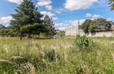 Terreno comercial à venda na rodovia gumercindo boza km 20, 14499, samambaia, campo magro por r$ 2.500.000