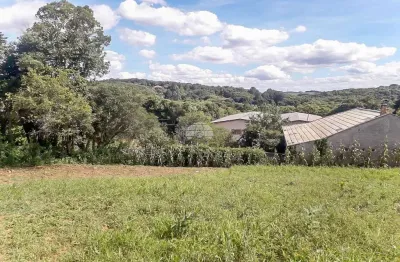 Terreno comercial à venda na RODOVIA GUMERCINDO BOZA KM 20, 14499, Samambaia, Campo Magro por R$ 2.500.000