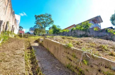 Terreno à venda na rua walfrido ferreira de andrade, 77, cascatinha, curitiba por r$ 600.000