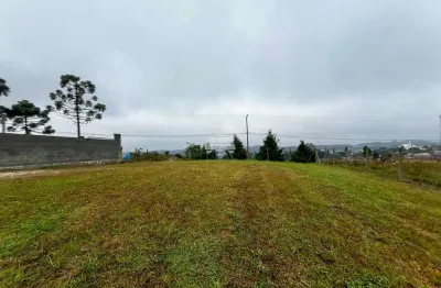 Terreno à venda na rua rosa sedoski valenga, 332, centro, campo magro por r$ 480.000